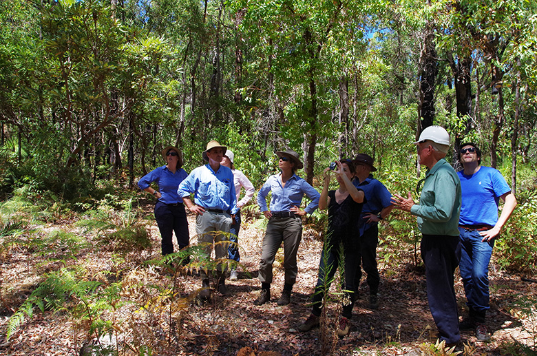 FORESTERRA has travelled to Australia